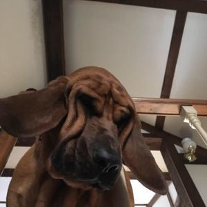 Meet your Posher, Stacy